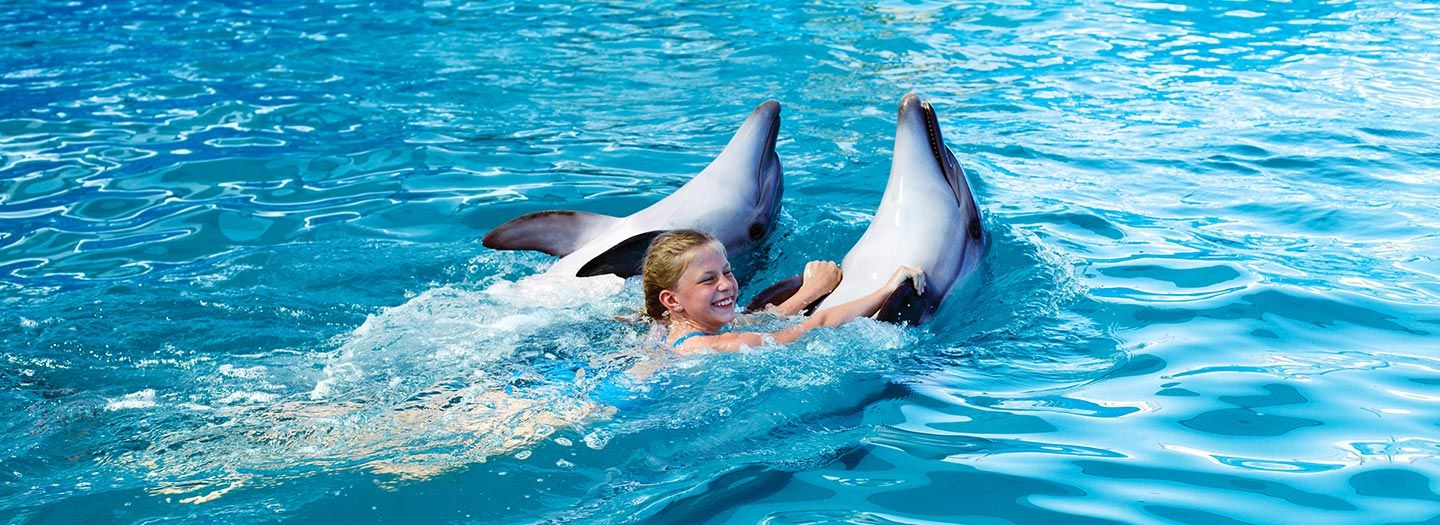 Dolphin Bay Dubai